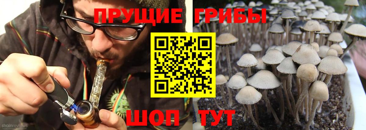 Галлюциногенные грибы прущие грибы  Вход с VPN  Алейск 