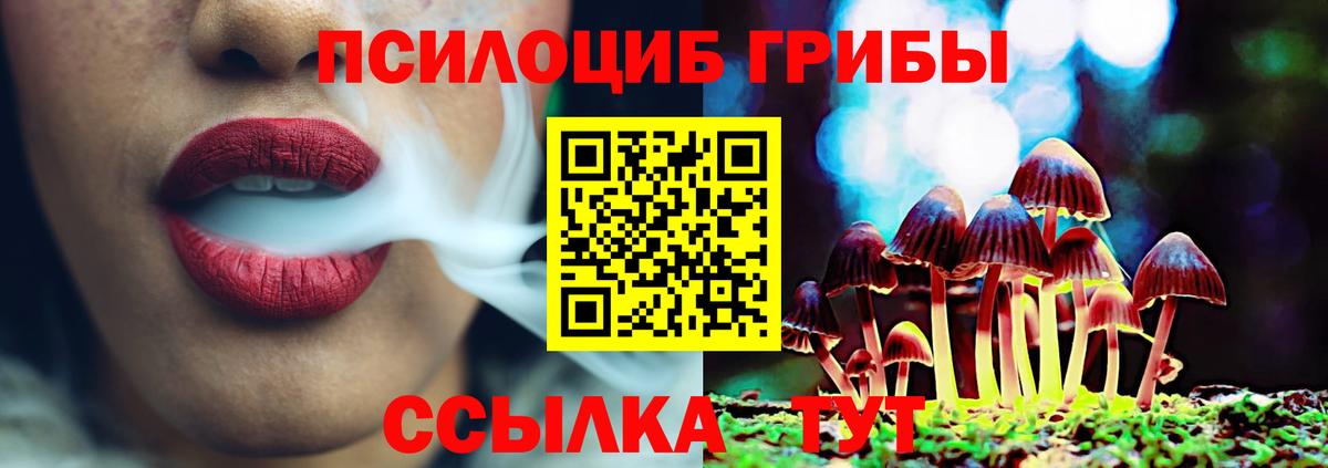 Псилоцибиновые грибы мицелий Алейск